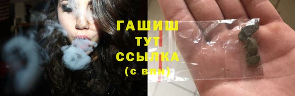 сатива Аркадак