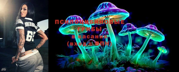 сатива Аркадак