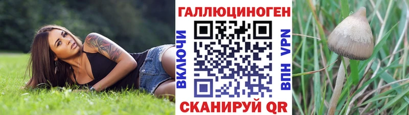 Галлюциногенные грибы Magic Shrooms  Тейково 